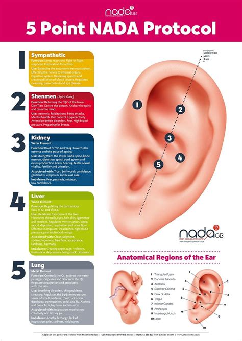 Ear reflexology, Acupressure treatment, Acupuncture benefits