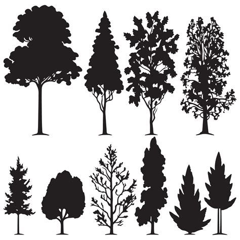 Group of trees silhouette. Tree silhouette vector. 24699204 Vector Art at Vecteezy