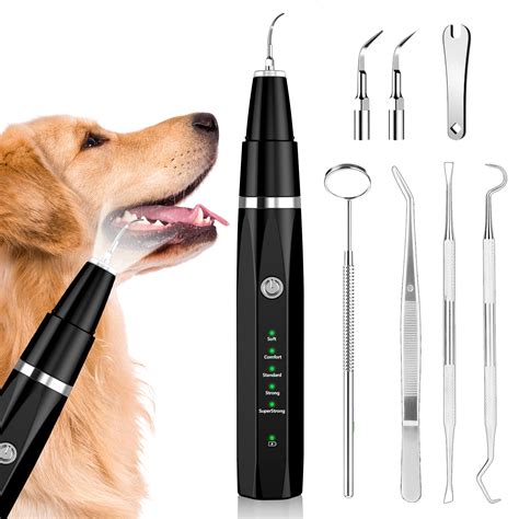 Dog Teeth Cleaning Tools