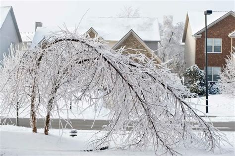 Sleet vs Freezing Rain vs Hail - The Weather Station Experts