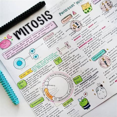 biology notes, mitosis #studygram ★·.·´¯`·.·★ follow @motivation2study ...