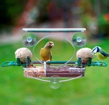 deluxe window bird feeder by garden selections | notonthehighstreet.com