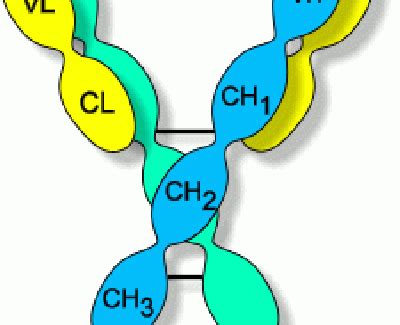 PROTEIN BIOLOGY | LIFE SCIENCE | BioFront Technologies