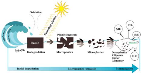 Degradation pathways of plastic materials in flowing water bodies with... | Download Scientific ...