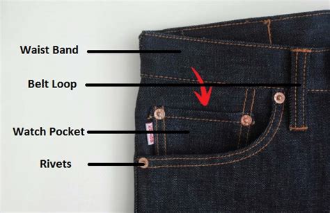 Different Parts of Jeans Pant with Picture - ORDNUR