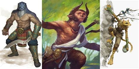 D&D Best Playable Races From 5e Expansions