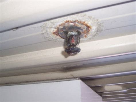 When to Replace Fire Sprinkler Heads in a Fire Sprinkler System?