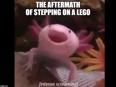 axolotl Memes & GIFs - Imgflip