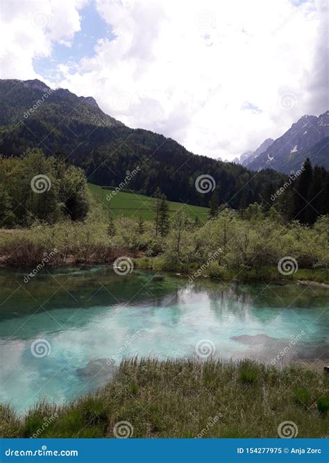 Zelenci lake stock image. Image of zelenci, blue, mountains - 154277975