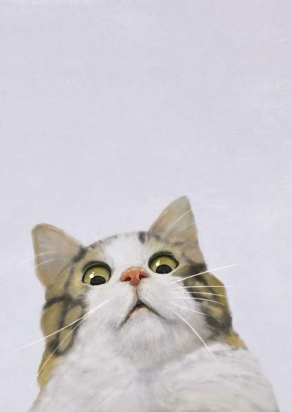 Scared Cat - Meme posters & prints by Mashz - Printler