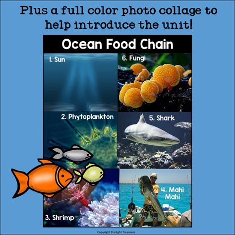 Ocean Food Chain Mini Book for Early Readers - Food Chains – Starlight ...