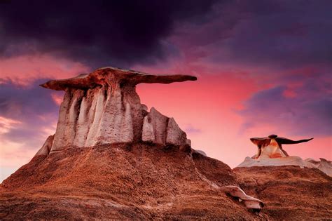 Bisti Wilderness Adventure - Navajo Tours USA