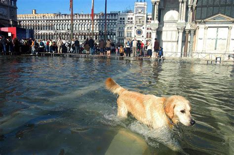 Why Is Venice Underwater? | brainbend