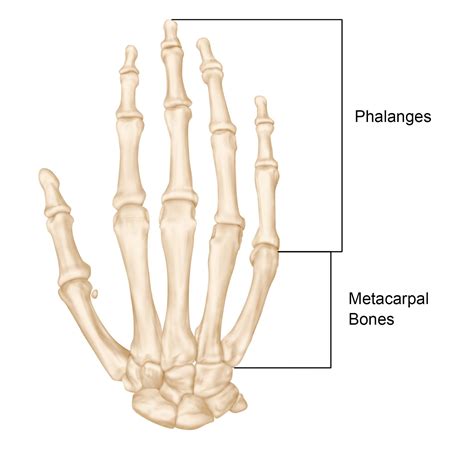 Hand Fractures – Surgically Dr. George Morrison