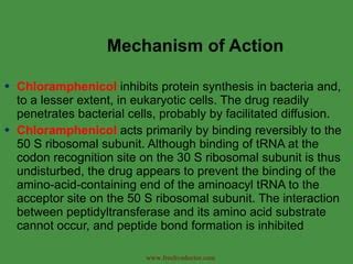 Chloramphenicol | PPT