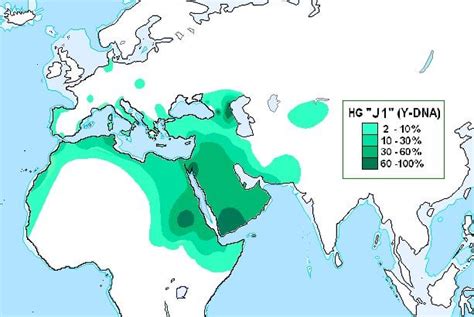 World Distribution of the J1 haplogroup (613 x 411) : r/MapPorn