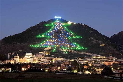 The Biggest Christmas Tree In The World - CorD Magazine