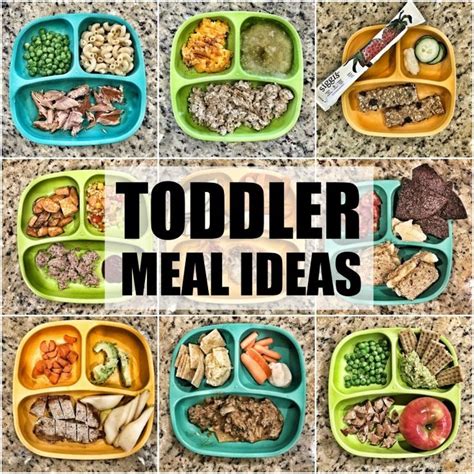 Easy Toddler Meal Ideas - August | Easy toddler meals, Toddler meals, Meal plan for toddlers