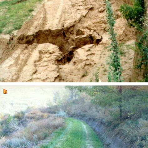 Runoff and soil erosion on roads per year. | Download Scientific Diagram