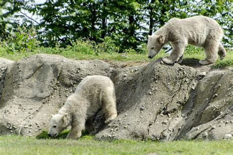 Rotterdam Zoo - All You Need to Know BEFORE You Go (with Photos)