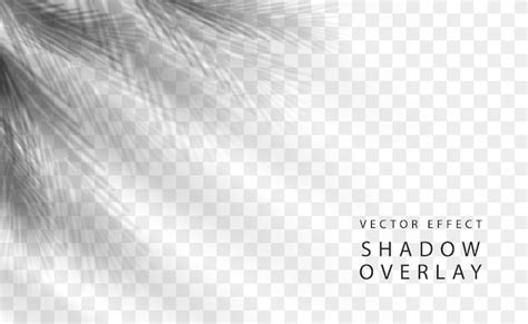 Premium Vector | Shadow Overlay Effect