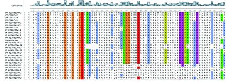 The multiple sequence alignment. | Download Scientific Diagram