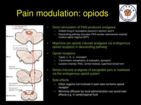 PPT - The perception of pain PowerPoint Presentation - ID:3429793