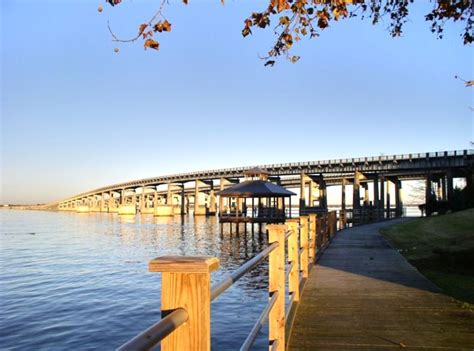 Santee Cooper Lakes - Marion and Moultrie