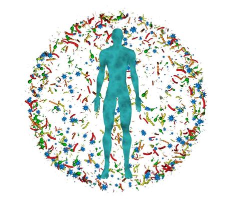 Gut Microbiota: Restoring A Healthy Balance | BioDesign Wellness Center