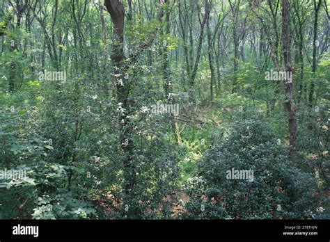 Ming Xiaoling (Emperor Hongwu Tomb), Mound of Underground Palace (Unexcavated), Burial site of ...