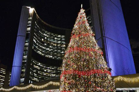 The story of the Toronto City Hall Christmas tree