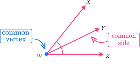 Adjacent Angles - Definition, Examples & Practice Questions