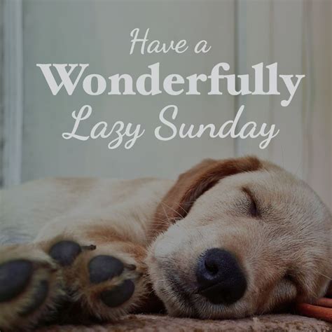 happydayquotesc: Funny Lazy Sunday Quotes