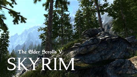 Skyrim special edition enb on consoles - hopdemuse