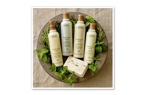 Natural Hair Products, Shampoos, Conditioners & Salons | Aveda