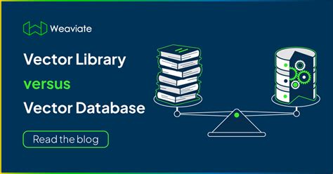 Vector Library versus Vector Database