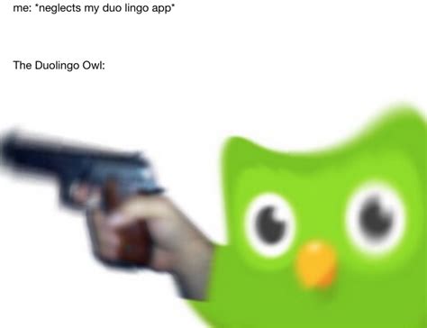 me: *neglects my duo lingo app* | Evil Duolingo Owl | Know Your Meme