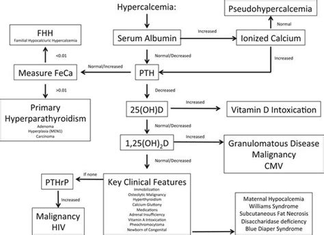 Diagnostic and treatment algorithm for hypercalcaemia in neonates and ...