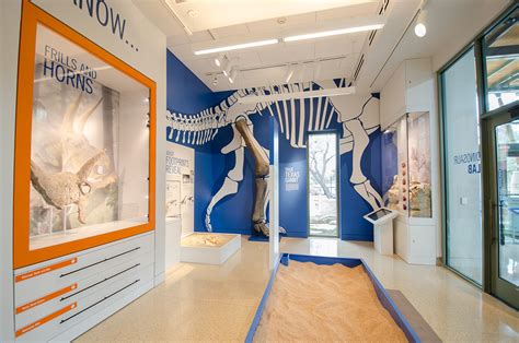 The Witte Museum: Dinosaur Gallery :: Behance