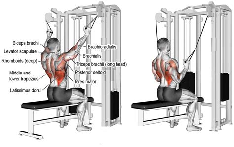 HOW TO KNEELING CABLE LAT PULLDOWN | Videos & Guides