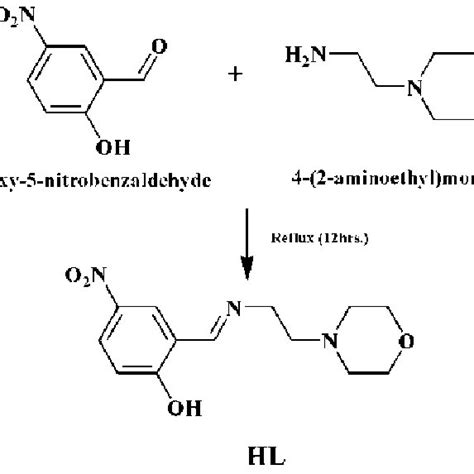 (PDF) Novel schiff base metal complexes from morpholine derivatives as ...