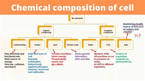 Chemical composition of cell | Chemical composition of cell is discussed in this video lesson ...