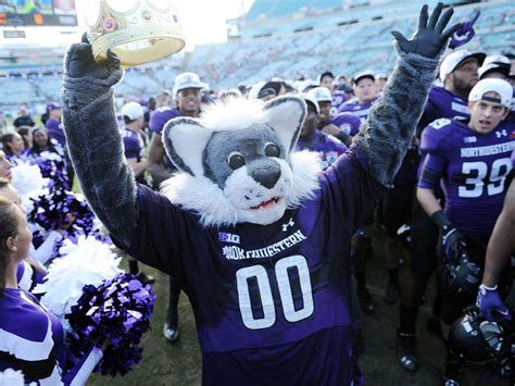 Download Northwestern University Mascot At Game Wallpaper | Wallpapers.com