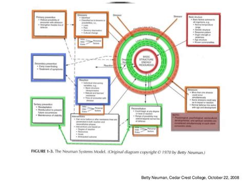 👍 The neuman systems model in research and practice. Neuman & Fawcett, Neuman Systems Model, The ...