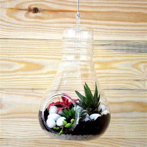 Buy Bulb-shaped hanging terrarium (9in Ht) online from Nurserylive at ...