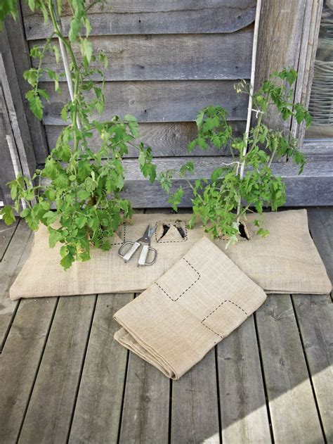 17 Best images about Tomato Grow Bags on Pinterest | Gardens, Black ...