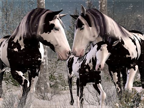 Free Horse Screensavers And Wallpaper - WallpaperSafari