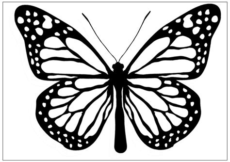 Butterfly Images Black And White - Cliparts.co