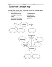 Evolution Concept Map 6th - 9th Grade Worksheet | Lesson Planet