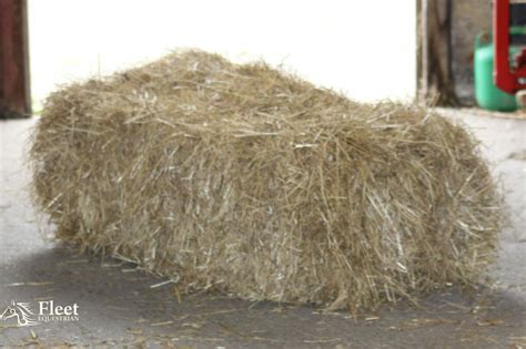 Hay Bale for Horses - Approx 20kg - 110x50x40cm - BOXED - FREE Postage - Fleet Equestrian